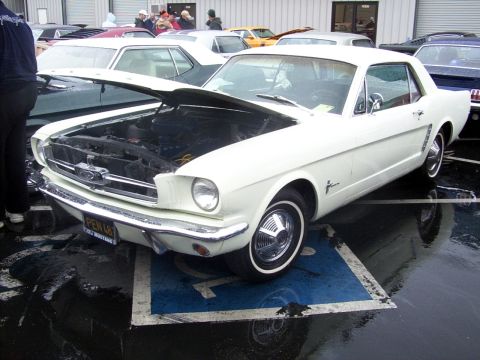 2002 Ford Mustang - White 1965 Ford Mustang coupe, hood open, parked on a blue handicapped spot. Other cars are visible in the background.