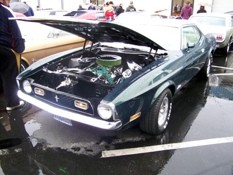 2002 Ford Mustang - A classic Mustang is displayed with its hood open in a wet outdoor lot, revealing the engine compartment.