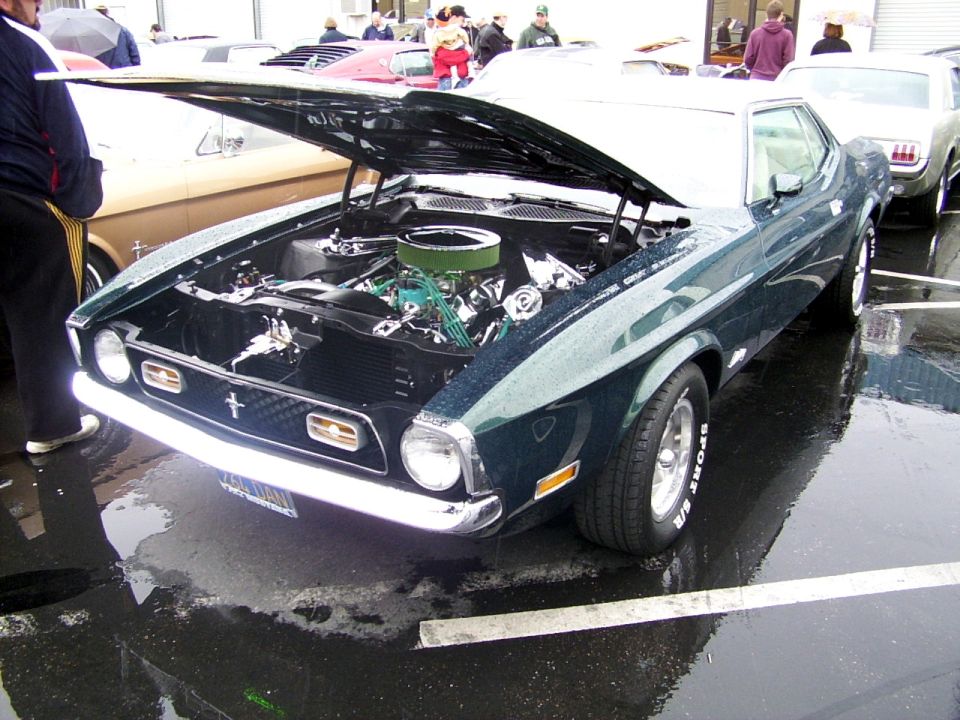 Dark green classic Mustang with hood open, showing engine. Wet parking lot