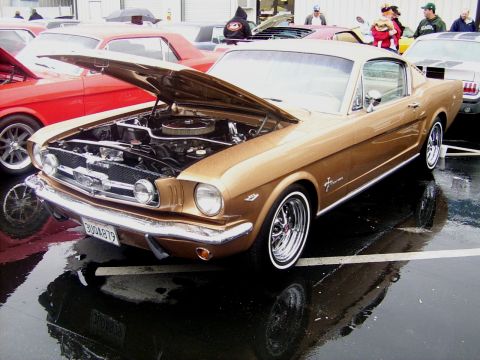 2002 Ford Mustang - A gold 1965 Ford Mustang coupe is displayed with its hood open, surrounded by other vehicles on a wet day.