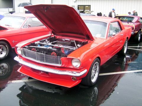 2002 Ford Mustang - A red 1965 Ford Mustang coupe is displayed with its hood open, revealing the engine bay, while parked on a wet surface.