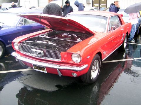 2002 Ford Mustang - Red classic Ford Mustang coupe on display, hood open, with another Mustang nearby. Photo taken in wet conditions.