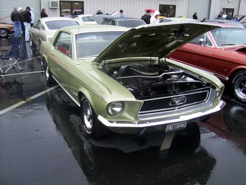 2002 Ford Mustang - A light green 1967 Ford Mustang coupe is displayed with its hood open, parked on a wet surface next to other vehicles.