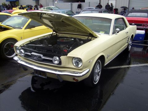 2002 Ford Mustang - A cream-colored 1965 Ford Mustang coupe is displayed with its hood open, revealing the engine bay.