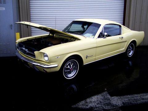 2002 Ford Mustang - This yellow 1965 Ford Mustang coupe is shown with its hood open, reflecting on a wet surface.
