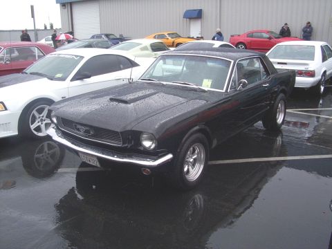 2002 Ford Mustang - A black classic Mustang is parked on a wet lot, surrounded by other vehicles.