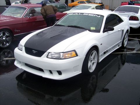 2002 Ford Mustang - A white Saleen Mustang with a black hood and racing stripes is parked on a wet surface, with other cars visible in the background.