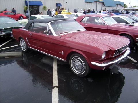 2002 Ford Mustang - A classic red convertible Mustang is parked in a lot on a rainy day, with other vehicles visible in the background.