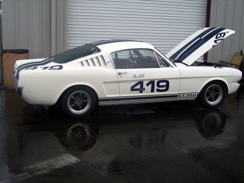 2002 Ford Mustang - This 1965 Shelby GT350 race car, marked with number 419 and distinctive blue stripes, is displayed with its hood open.