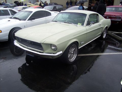 2002 Ford Mustang - A light green classic Ford Mustang coupe is parked on a wet asphalt lot next to a white Mustang.