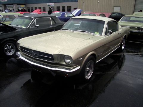 2002 Ford Mustang - A gold 1965 Ford Mustang coupe is parked in a lot with other classic cars on a rainy day.