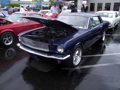 2002 Ford Mustang - A dark blue 1965 Ford Mustang coupe is displayed with its hood open on a wet day, alongside other vehicles.