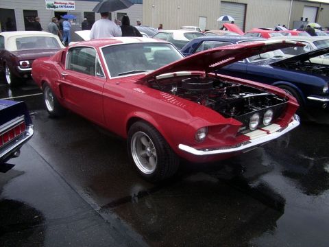 2002 Ford Mustang - A red classic Mustang is displayed with its hood open at an outdoor event on a rainy day.
