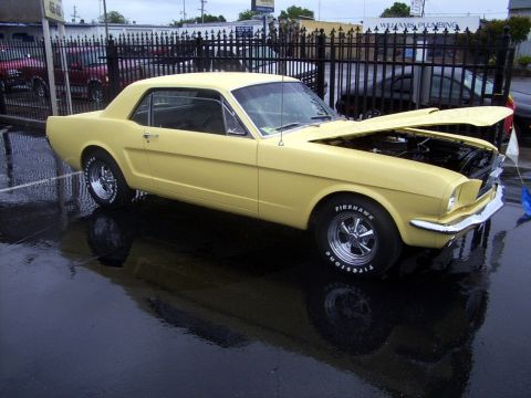2002 Ford Mustang - This yellow 1965 Ford Mustang coupe is displayed with its hood open, reflecting on the wet ground.