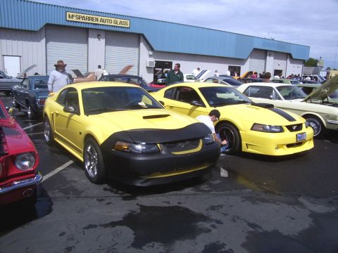 2002 Ford Mustang - A car show features several Mustangs, including two bright yellow models parked side-by-side in front of McSparren Auto Glass.