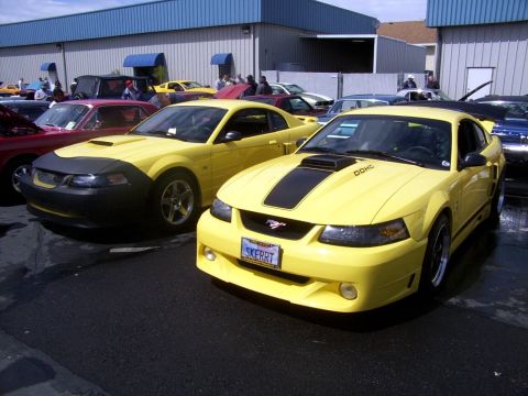 2002 Ford Mustang - Two yellow Ford Mustangs are parked outside a building, one with a black car bra.