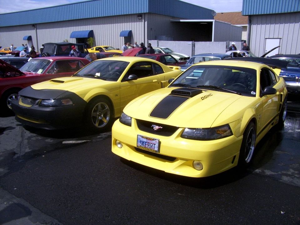 Yellow Ford Mustang with black racing stripes and a black car bra