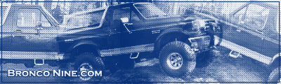 1989 Ford Bronco photo