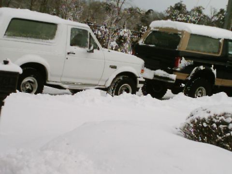 1989 Ford Bronco photo