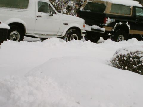 1989 Ford Bronco photo
