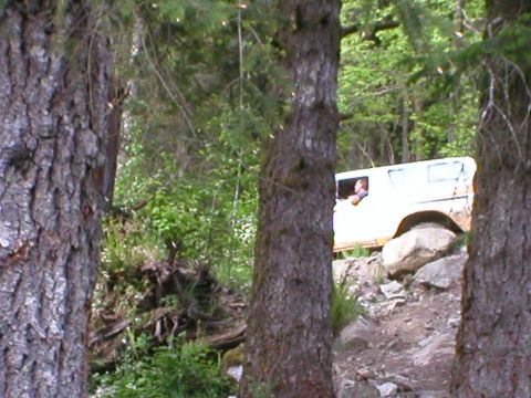 1978 Ford Bronco - A white SUV navigates a challenging off-road path through a dense forest.
