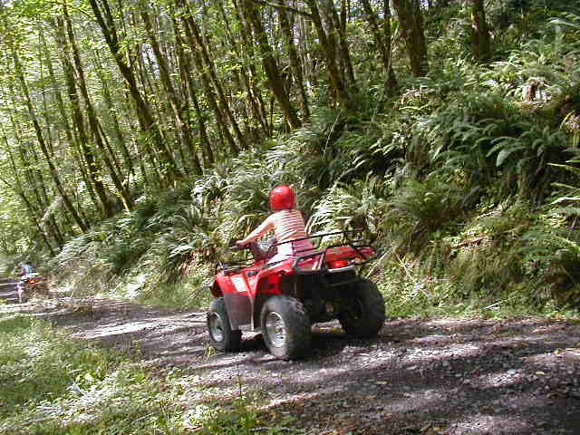 Rider in red helmet on red ATV heading up a gravel forest trail