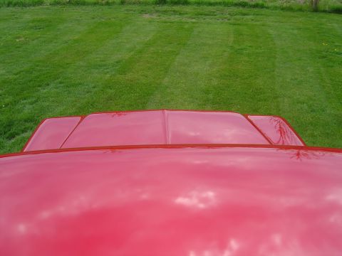 1978 Ford Bronco - Top-down view of a red vehicle's hood and windshield against a grassy background.