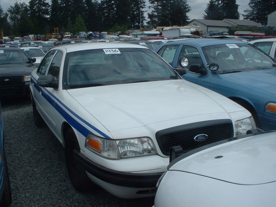 White Ford Crown Victoria with blue stripes, front view, parked in a lot with other vehicles