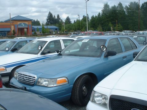 1999 Ford Crown Victoria - A fleet of police cruisers are parked outside a building under a cloudy sky.