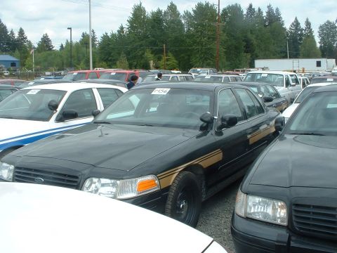 1999 Ford Crown Victoria - Black Ford Crown Victoria police car with gold stripe, parked in a lot with other vehicles.