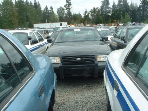 1999 Ford Crown Victoria - A fleet of police cars are parked in an outdoor lot under a cloudy sky.