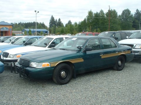 1999 Ford Crown Victoria - Side view of a green police car with a gold stripe and push bar, parked in a lot with other cars.