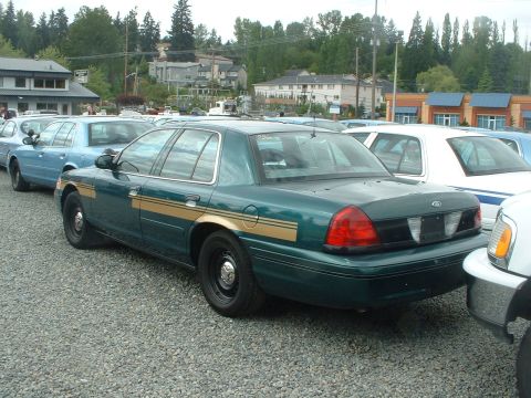 1999 Ford Crown Victoria - A green sedan with a gold stripe is parked in a lot with other vehicles.
