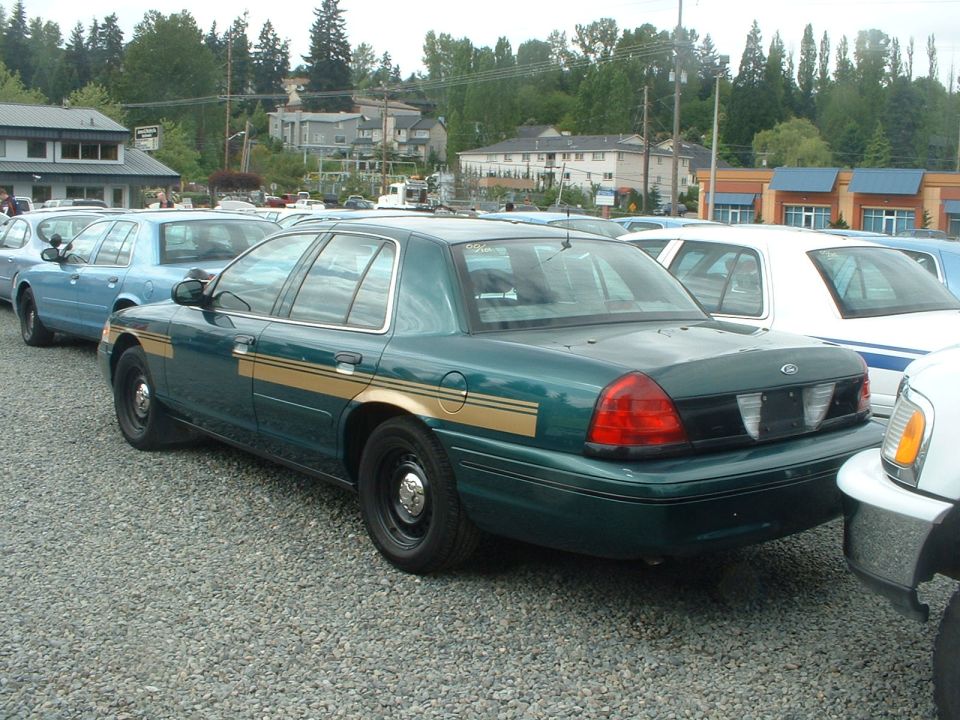 Green sedan with gold stripe, rear view, parked on gravel lot