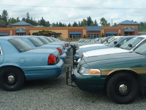 1999 Ford Crown Victoria - A line of sedans, likely police vehicles, are parked in a lot in front of a commercial building.