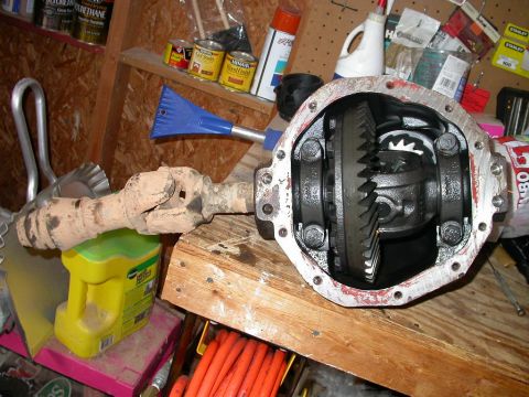 1990 Ford Bronco - Freshly removed Dana 44 third member, upside down actually.