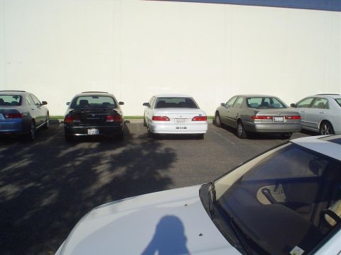 1993 Ford Taurus - A row of sedans are parked in a lot, with a white building in the background.