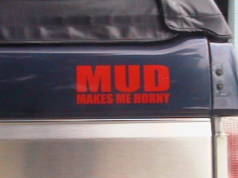 1991 Ford Bronco - Close-up of a red vinyl decal reading 'MUD MAKES ME HORNY' applied to the dark blue upper tailgate panel of an SUV, below a black soft top.…