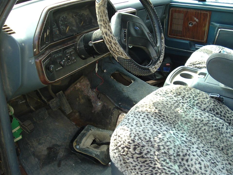 Gotta love the leopard print...;)