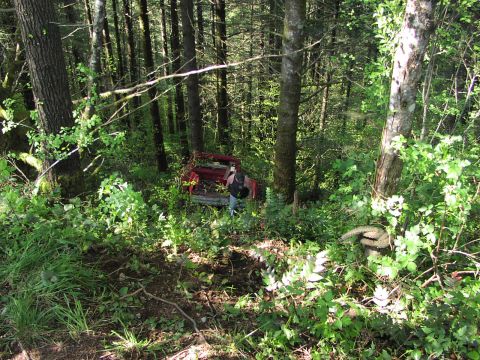 1993 Ford Bronco - A red pickup truck is seen in a wooded area, overgrown with plants.