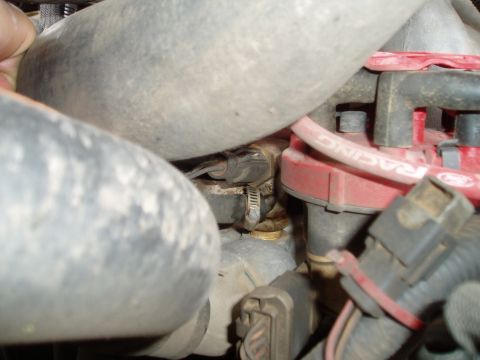 1990 Ford Bronco - Tight engine-bay close-up of a brass-body coolant temperature sensor threaded into a fitting with a worm-gear hose clamp, framed by two dus…