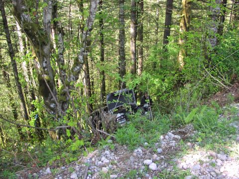 1993 Ford Bronco - An off-road vehicle is seen partially hidden by dense vegetation in a wooded area.