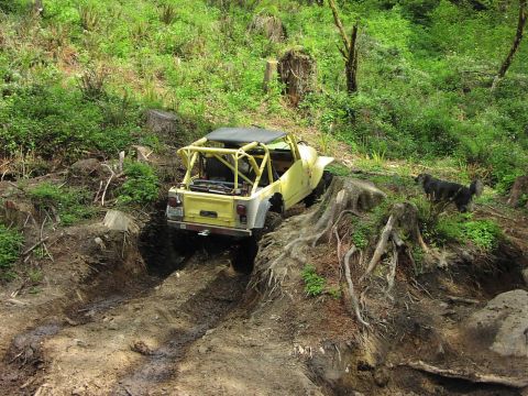 1993 Ford Bronco - A yellow off-road jeep navigates a steep, muddy track with a dog observing from the side.