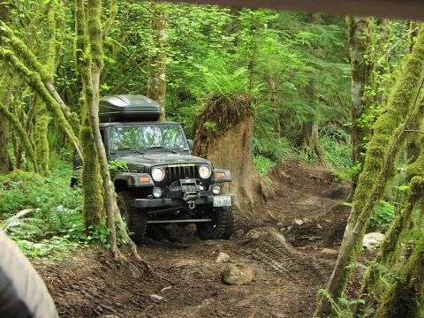 1993 Ford Bronco - A black Jeep Wrangler navigates a challenging, muddy trail through a moss-covered forest.