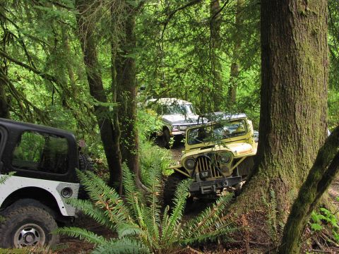 1993 Ford Bronco - Several off-road vehicles traverse a dense forest trail during a cleanup event.