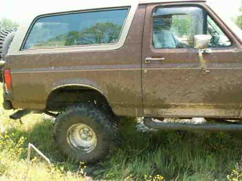 1988 Ford Bronco - This is a side view of a brown Ford Bronco with a white removable top.