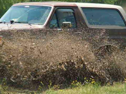 1988 Ford Bronco - This Ford Bronco is making a big splash as it drives through a muddy area.