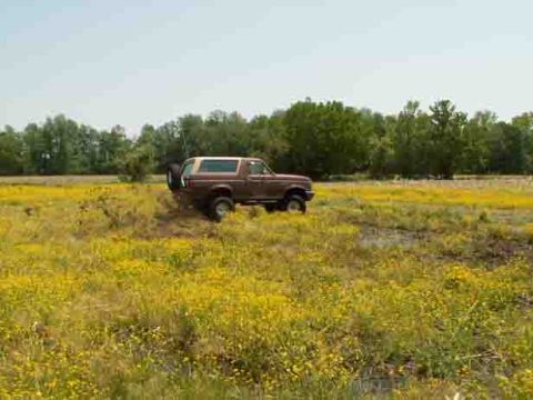 Ford Bronco