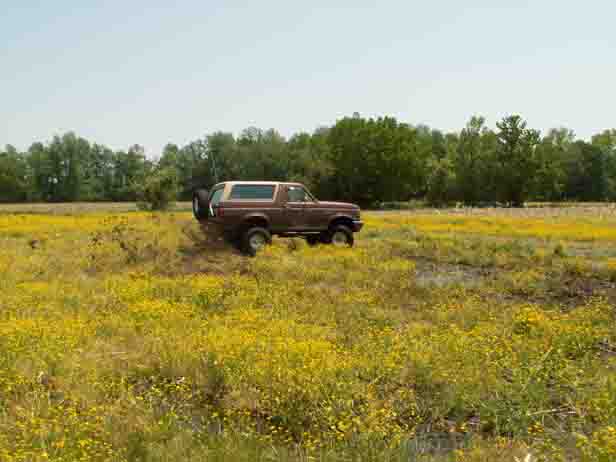1988 Ford Bronco