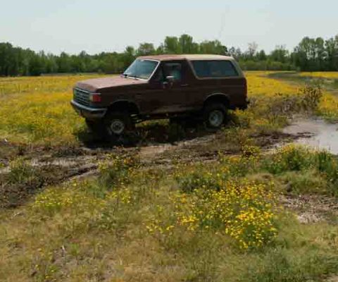 1988 Ford Bronco - This SUV navigates a muddy terrain dotted with yellow flowers under a clear sky.